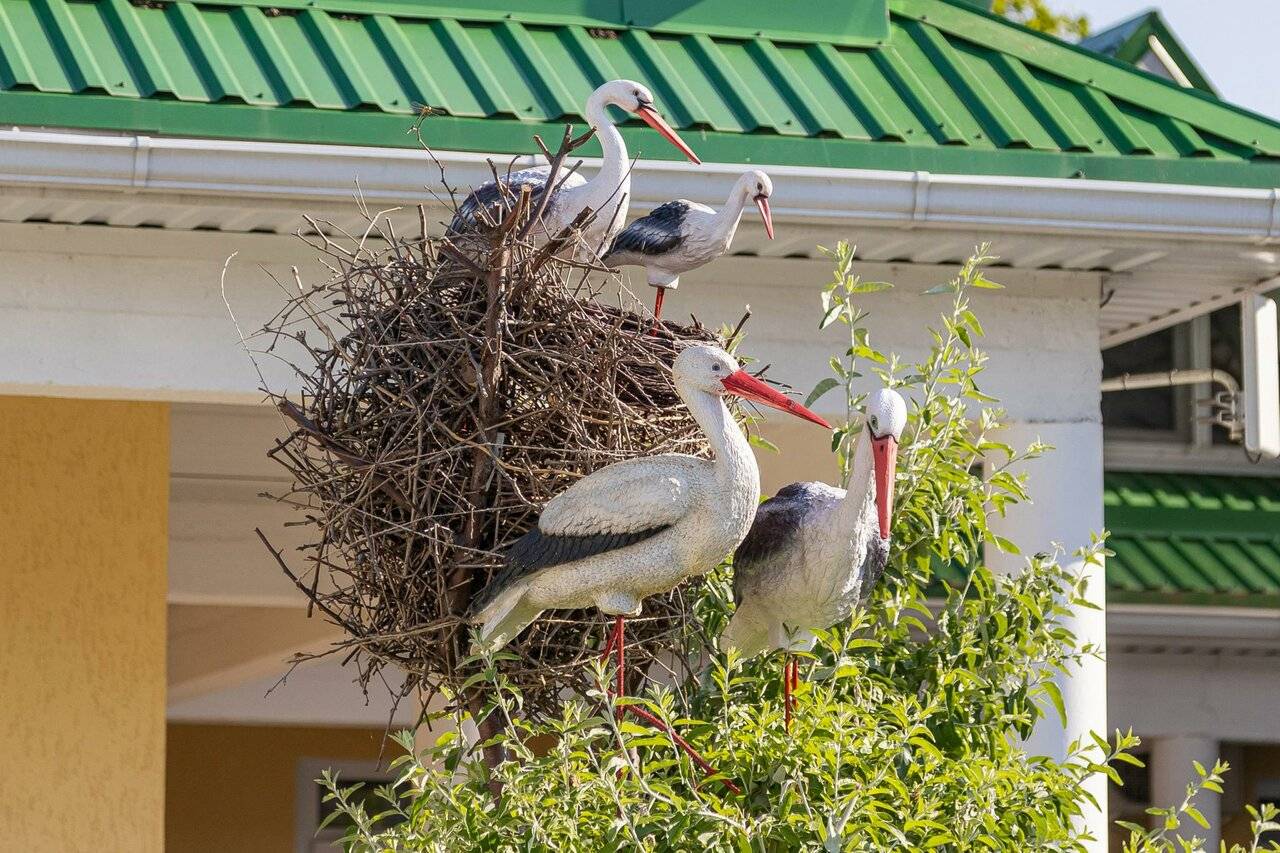 Фото Гостиницы Русич Анапа 38